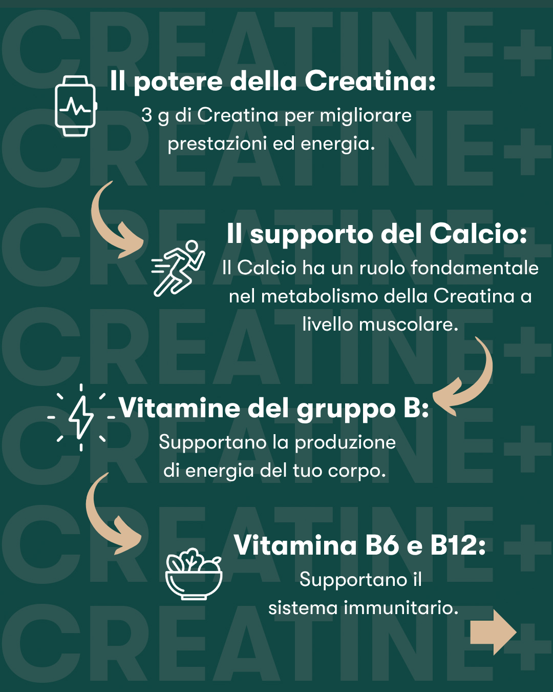 H24 CREATINE+ INDICAZIONI PRINCIPALI
• Migliora le performance sportive: l'assunzione giornaliera di 3 g di Creatina è ideale in caso di attività ripetitive, di elevata intensità e di breve durata, poiché contribuisce a incrementare le prestazioni fisiche.
• Con Calcio e Vitamine del gruppo B: il Calcio e le Vitamine del gruppo B (Vitamine Bó e B12, Niacina, Riboflavina, Tiamina e Acido pantotenico) contribuiscono al normale metabolismo energetico. Il Calcio contribuisce anche alla normale funzione muscolar