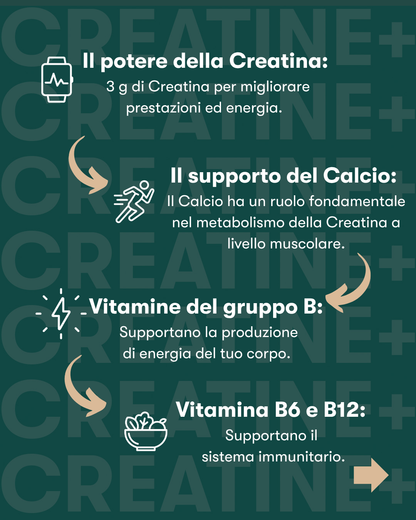 H24 CREATINE+ INDICAZIONI PRINCIPALI
• Migliora le performance sportive: l'assunzione giornaliera di 3 g di Creatina è ideale in caso di attività ripetitive, di elevata intensità e di breve durata, poiché contribuisce a incrementare le prestazioni fisiche.
• Con Calcio e Vitamine del gruppo B: il Calcio e le Vitamine del gruppo B (Vitamine Bó e B12, Niacina, Riboflavina, Tiamina e Acido pantotenico) contribuiscono al normale metabolismo energetico. Il Calcio contribuisce anche alla normale funzione muscolar