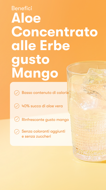 Goditi il gusto delicato dell’Aloe Concentrato alle Erbe ad ogni sorso. Basta aggiungerlo all'acqua per creare una bevanda rinfrescante all'aloe che diventerà sicuramente un punto fermo nella tua routine quotidiana.


Proprietà principali
Contiene il 40% di succo di Aloe vera pressato a freddo derivato dall'intera foglia
A basso contenuto calorico: solo 2 kcal per porzione
Adatto a vegani e vegetariani
Senza coloranti artificiali
Senza zucchero
Contiene 126 porzioni