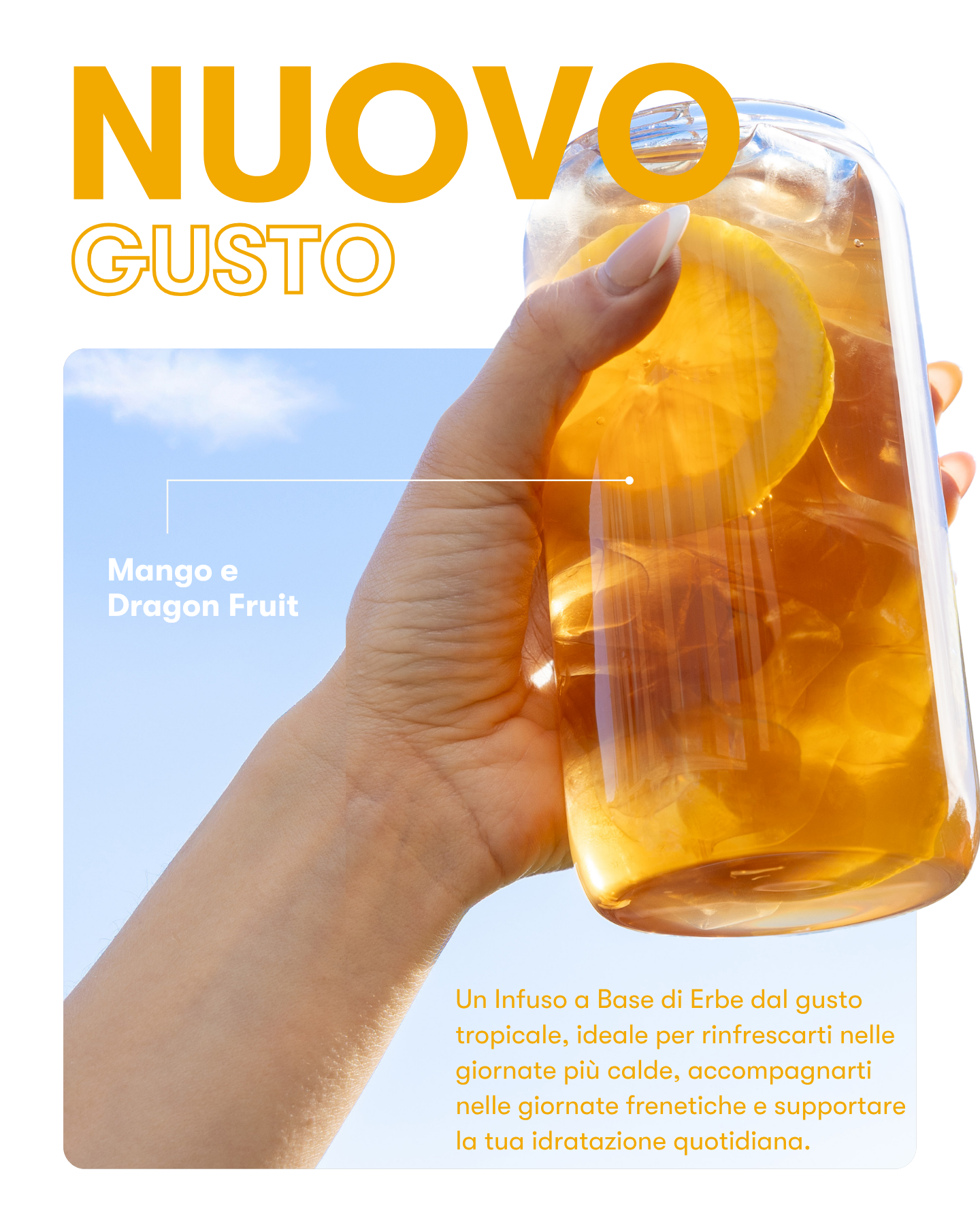 Una bevanda istantanea rinfrescante e ipocalorica da gustare durante la giornata.​

L’Infuso a Base di Erbe con estratti di tè è formulato con una miscela unica di tè nero tradizionale Orange Pekoe, estratto di tè verde, polvere di fiori di ibisco ed estratto di semi di cardamomo. L’estratto di tè verde è ottenuto con una lavorazione ad acqua per mantenere inalterate le sue benefiche sostanze.

Questa è la bevanda perfetta per iniziare la giornata o per ricaricarti il pomeriggio. A basso contenuto calorico,