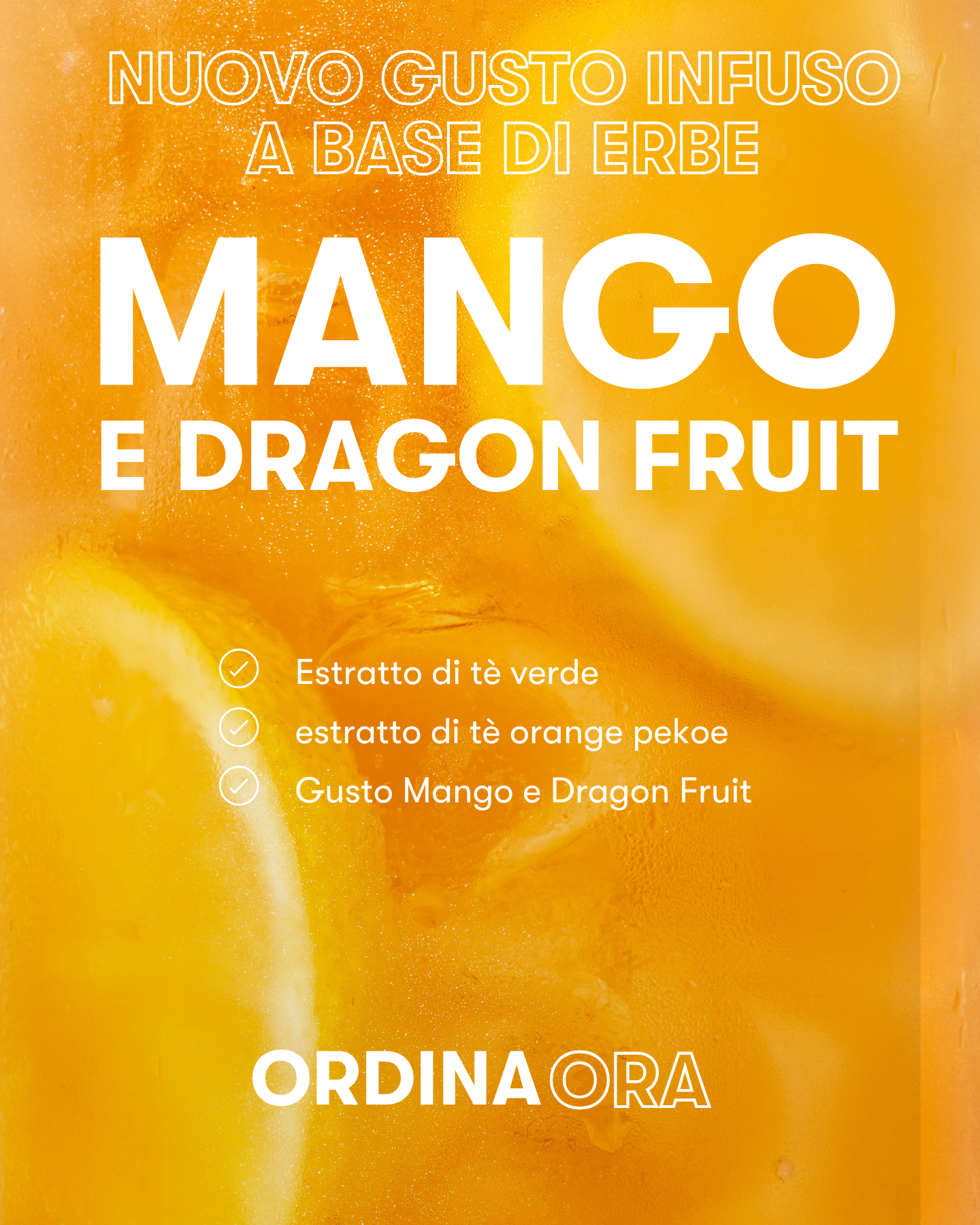 Una bevanda istantanea rinfrescante e ipocalorica da gustare durante la giornata.​

L’Infuso a Base di Erbe con estratti di tè è formulato con una miscela unica di tè nero tradizionale Orange Pekoe, estratto di tè verde, polvere di fiori di ibisco ed estratto di semi di cardamomo. L’estratto di tè verde è ottenuto con una lavorazione ad acqua per mantenere inalterate le sue benefiche sostanze.

Questa è la bevanda perfetta per iniziare la giornata o per ricaricarti il pomeriggio. A basso contenuto calorico,