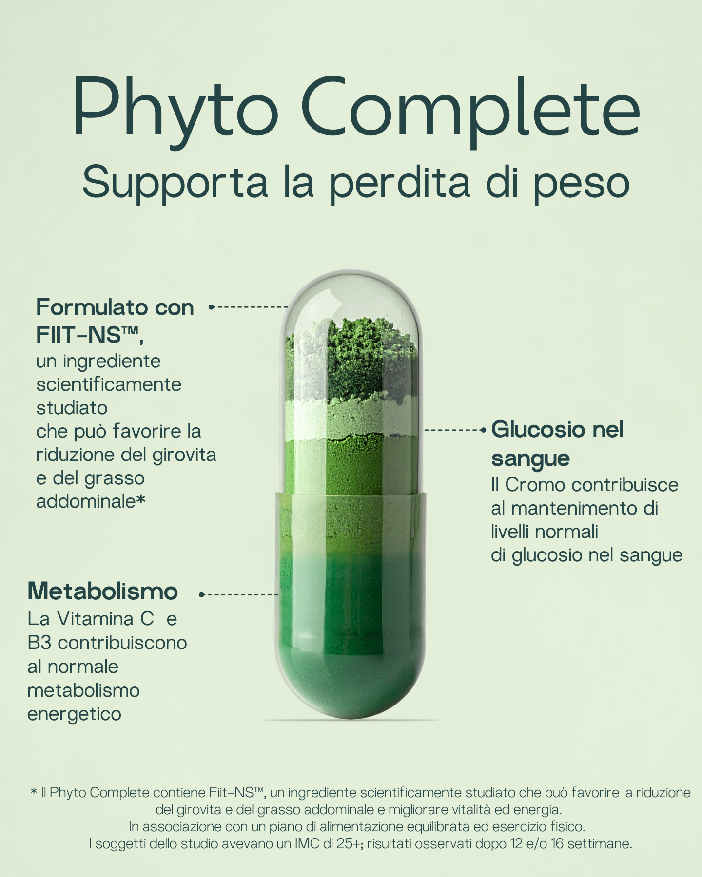 Phyto Complete:

·       È disponibile in un comodo sachet
·       È formulato con Fiit-NS™
·       È ricco di fitonutrienti
·       È adatto ai vegani
·       Contiene Vitamine C e B3 (Niacina) contribuiscono al normale metabolismo energetico e alla riduzione della stanchezza e dell'affaticamento
·       Contiene caffeina naturale derivata dal guaranà
·       Contiene Cromo che contribuisce al il normale metabolismo dei macronutrienti e al mantenimento di livelli normali di glucosio nel sangue
       Conti