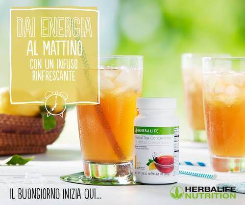 infuso Herbalife drenante bruciagrassi energizzanteL'Infuso a Base di Erbe con estratti di tè è disponibile in una varietà di gusti e può essere gustato caldo o freddo. Questa bevanda richiede pochi secondi per essere preparata, quindi puoi gustarla in movimento o nel comfort di casa tua. Se vuoi puoi metterlo in infusione con i tuoi frutti di bosco o agrumi preferiti e scoprire la sua versatilità.